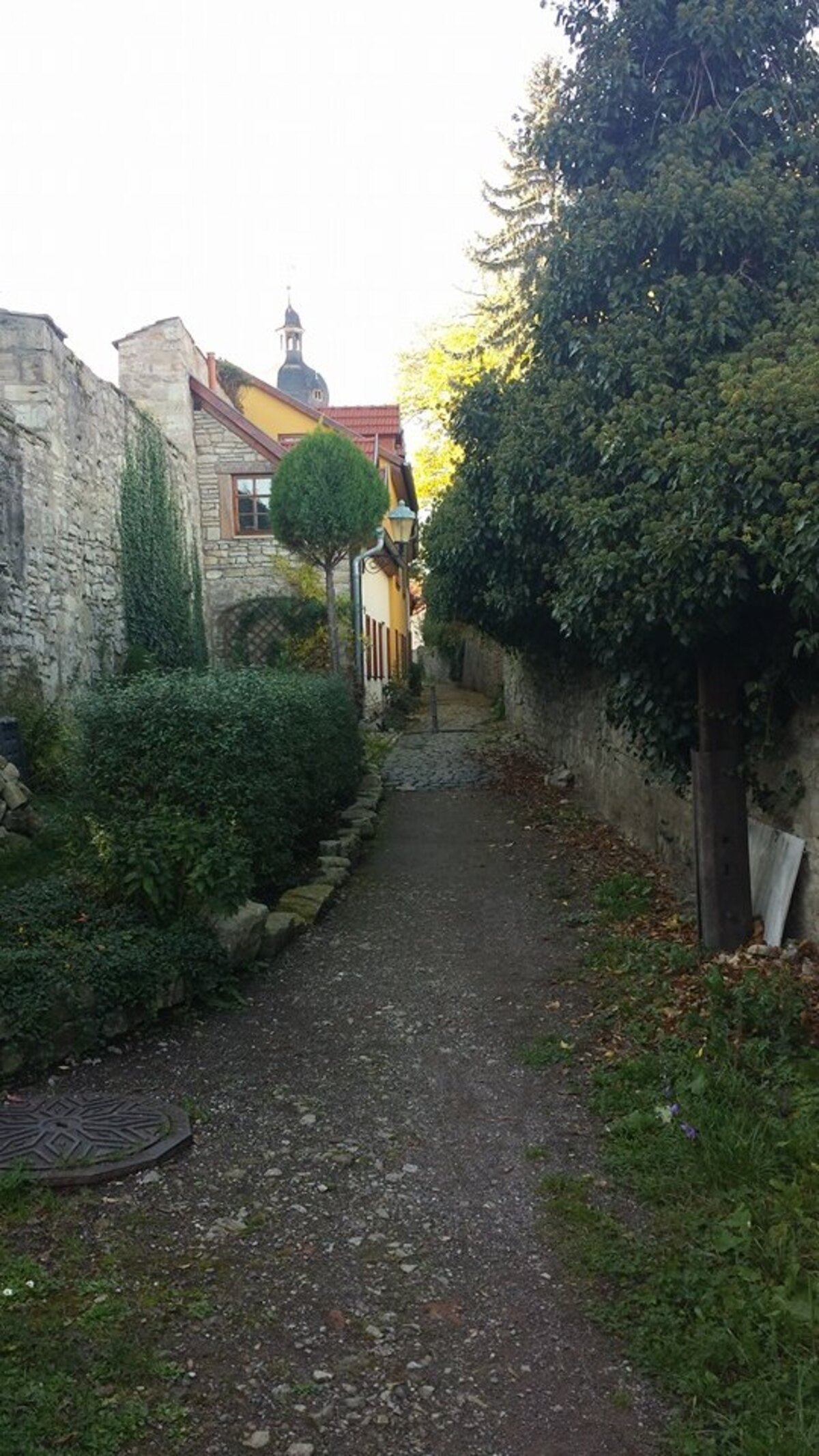 Bild1